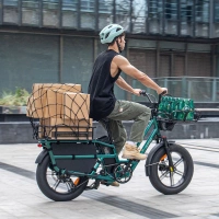 Fiido T2 Longtail Cargo Electric Bike - 2023 | 750W Power | 20Ah Battery | 25mph Speed | 69mi Range