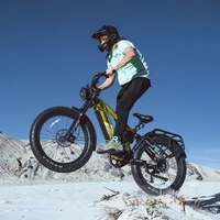 Cyrusher Ranger 2.0 Electric Bike - 750W Power | 20Ah Battery | 28mph Speed | 75mi Range