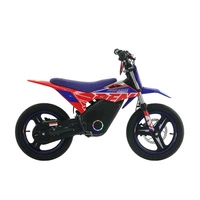 RFN Warrior Kids SX-E700 SM Electric Motorcycle - 700W Power | 7.5Ah Battery | 22mph Speed | 16mi Range | Supermoto Tyres