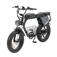 Hidoes B9 Electric Bike - 250W Power | 33.8Ah Battery | 15.5mph Speed | 56mi Range 