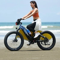 Cyrusher Roam Electric Bike - 750W Power | 15.6Ah Battery | 28mph Speed | 62mi Range | Step-Thru All-Terrain 