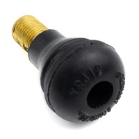 Air Valve Tubeless Conversion