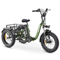 Hidoes ET1 Electric Tricycle - 750W Power | 20Ah Battery | 25mph Speed | 41mi Range