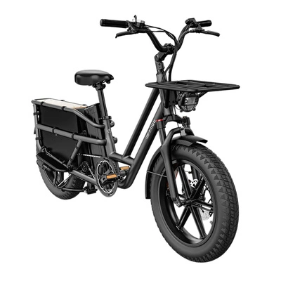 Fiido T2 Longtail Cargo Electric Bike - 2025 | 250W Power | 20.8Ah Battery | 25mph Speed | 85mi Range