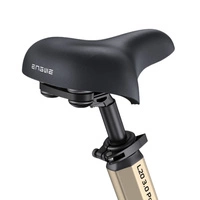 Engwe L20 3.0 Pro Electric Bike - 250W Power | 15Ah Battery | 15.5mph Speed | 99mi Range