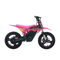 RFN Warrior Kids SX-E500 Electric Motorcycle - 500W Power | 5Ah Battery | 19mph Speed | 11mi Range