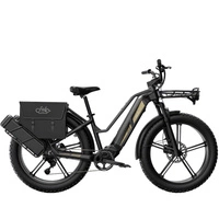 Fiido Titan 2025 Electric Bike - 750W Power | 14.5Ah Battery | 28mph Speed | 84mi Range | Single Battery