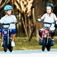 Isinwheel A12 Electric Bike - 350W Power | 5.2Ah Battery | 15.5mph Speed | 15mi Range | 12