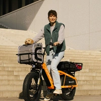 Cyrusher Glider Cargo Electric Bike - 250W Power | 15.6Ah Battery | 15.5mph Speed | 62mi Range