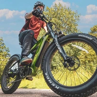 Cyrusher Ranger Electric Bike - 750W Power | 20Ah Battery | 28mph Speed | 75mi Range