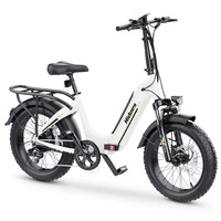 Hidoes BF1 Foldable Electric Bike - 750W Power | 13Ah Battery | 25mph Speed | 41mi Range