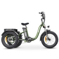 Hidoes ET1 Electric Tricycle - 750W Power | 20Ah Battery | 25mph Speed | 41mi Range