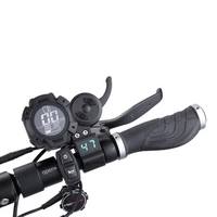 MiniWalker Tiger 8 Pro Electric Scooter - 2400W Power | 15.6Ah Battery | 34mph Speed | 22mi Range