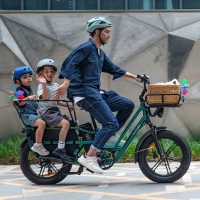 Fiido T2 Longtail Cargo Electric Bike - 2025 | 250W Power | 20.8Ah Battery | 25mph Speed | 85mi Range